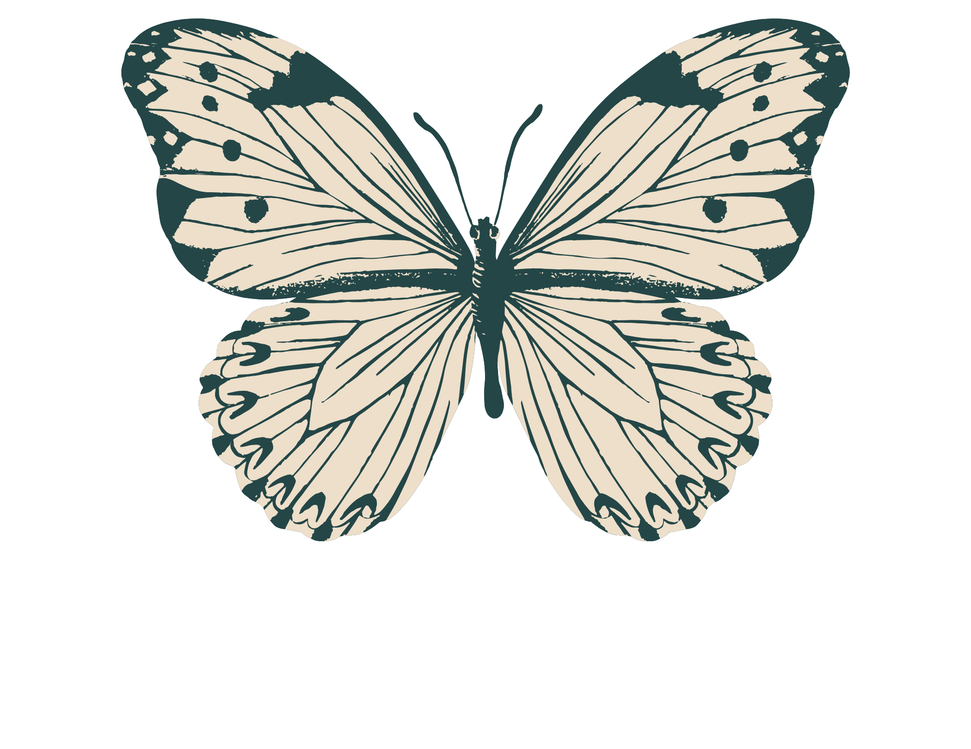 Harlow & Pearl